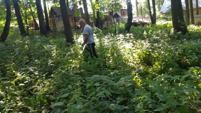 #металлокоп Жара, мы копаем ? Коп за два дня/Встречаются всё-таки добрые люди/Тяжёлый труд копателя