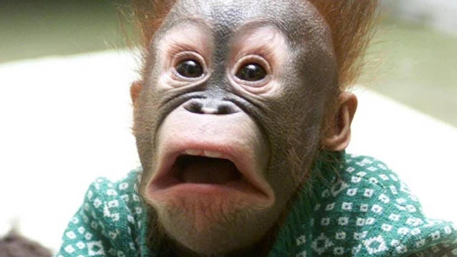 Я злой сегодня! (heavy Metal от Udio)