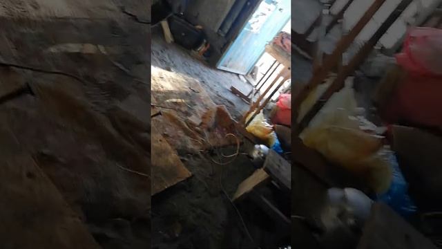 Мастерская, где рождаются идеи