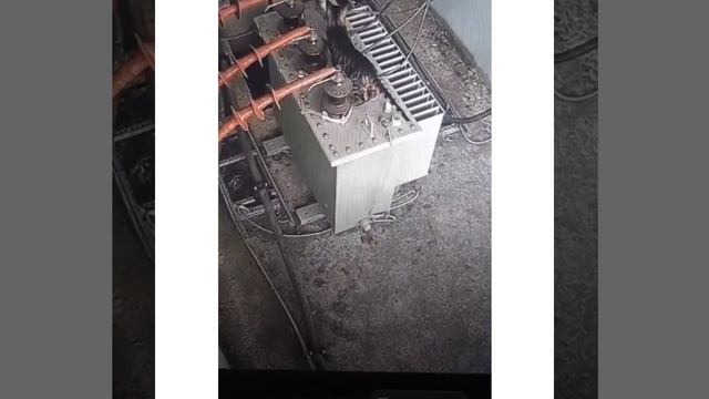 Cat Gets Electrocuted (electric Shock). Gato Recibe Una Descarga Eléctrica #funny #viral #video #ca