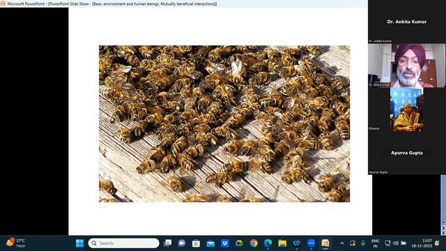 BEES ENVIRONMENT AND HUMAN BRINGS: MUTUALLY BENEFICIAL INTERACTIONS BY DR. JASPAL SINGH