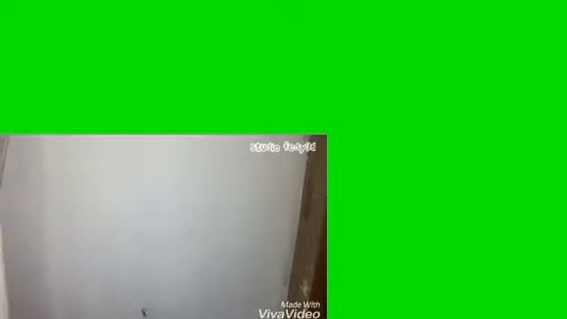 B4d1902384366003c1da0fc01547942e