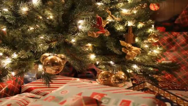 Merry Christmas! | Holiday Songs On Violin