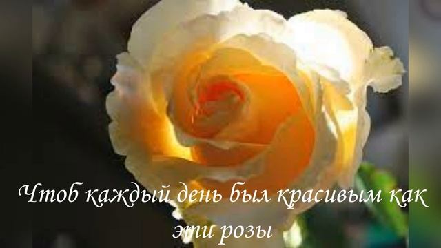 Прекрасной женщине прекрасные цветы