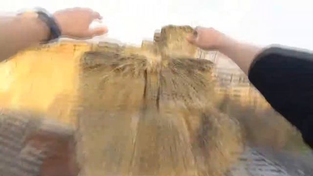 A1464aec7971bc04e20ece7a7ce9ec57