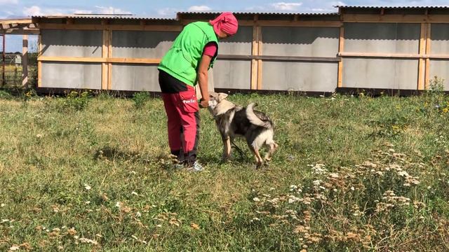 Ромтат Фарм Олимп, ДР 02.04.2021