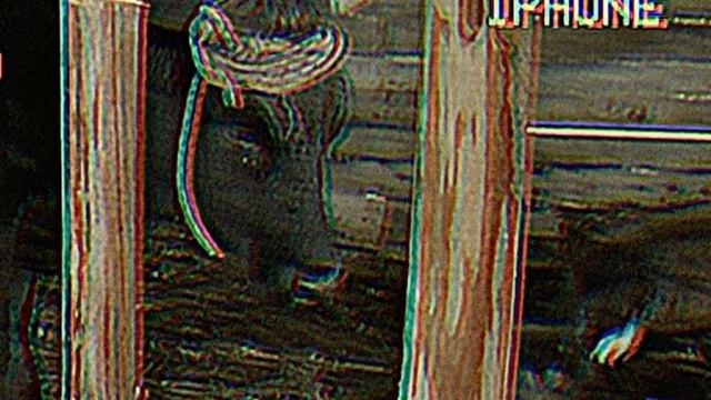 какой по вкусу шпинат - десятирублёвая монета