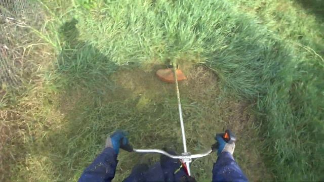 Stihl Fs 250 головка Stihl AutoCut C 26-2  леска Champion C5020