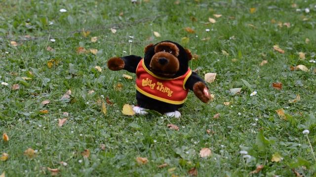 Твой бывший отправил мне видео