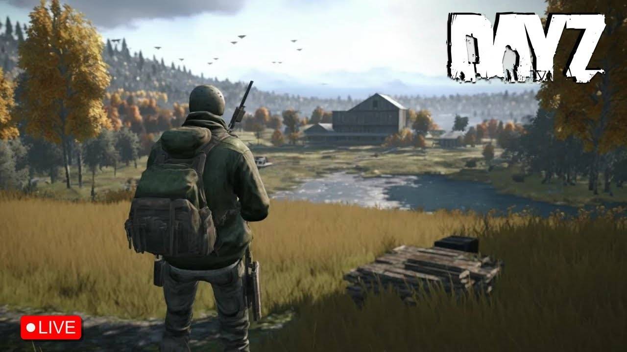 Дейз стрим DayZ Chernarus PVP