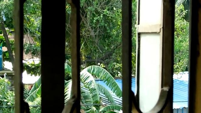 Nikon Coolpix B500 Zoom Test