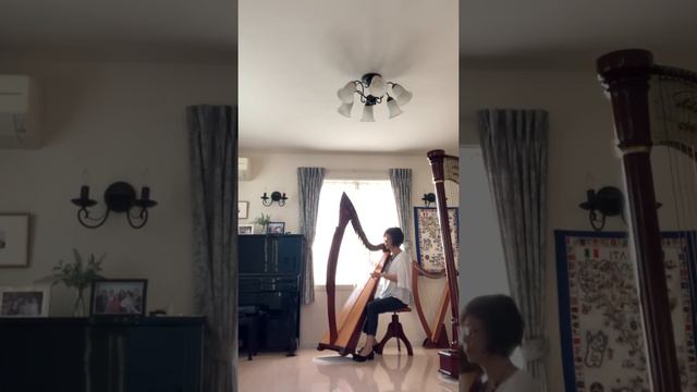 Ave Maria (G. Caccini / V. Vavilov) On Celtic Harp