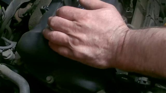 Сибирские парни