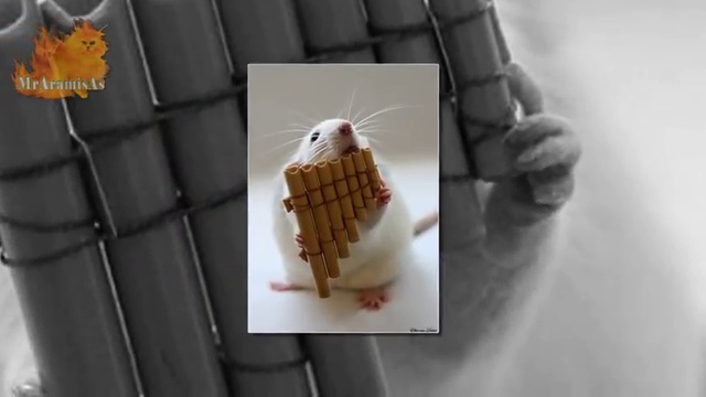 F9ae322e9f1ef72700297dfce7345187