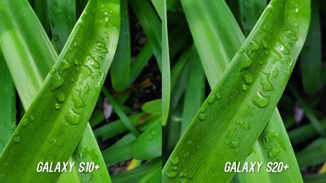 Samsung Galaxy S20+ Vs S10+ Camera Comparison Test: Upgrade?