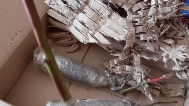 42dddec1e9688e1851e2eef86738c3de