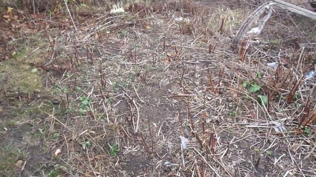 82f5000eee57861cfdd0ec4f4a6d5a62