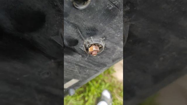 Секреты Таланта