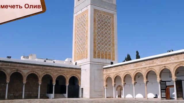 Кухня для Любителей