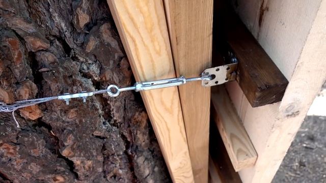 Мой скалодром