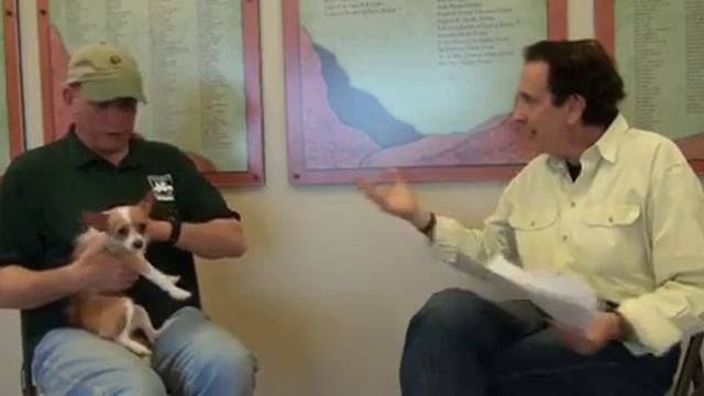 Reasons Why People Surrender Their Pets