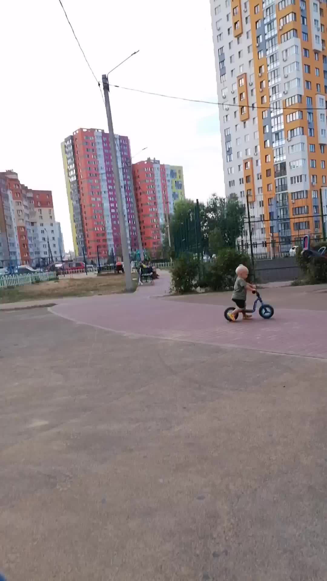 тл