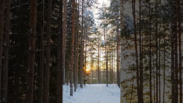 2232caa3be5b4163440619c70569d695