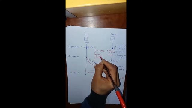 Sockets Java 1 | Sockets Overview : Darija