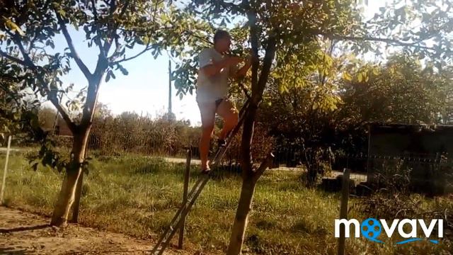 F1fa12a068232891ac8f038d51c63232