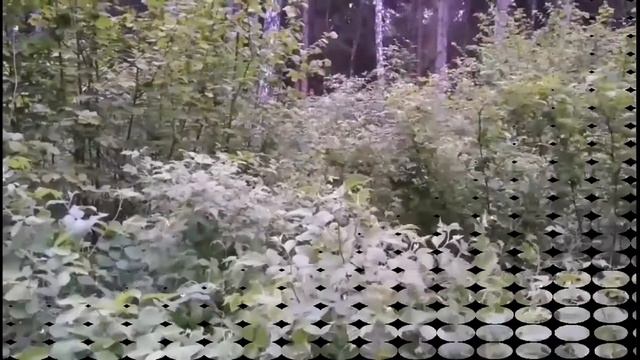 Пение соловья поздравляю с 8 марта💐