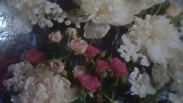 Скрипка-лиса или скрип колеса (Саруханов(наброски)