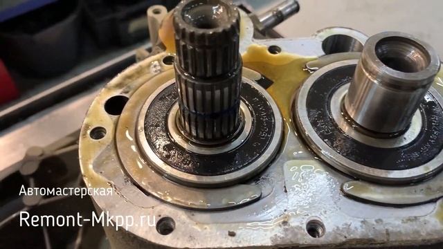 Форд Фокус: ремонт и установка