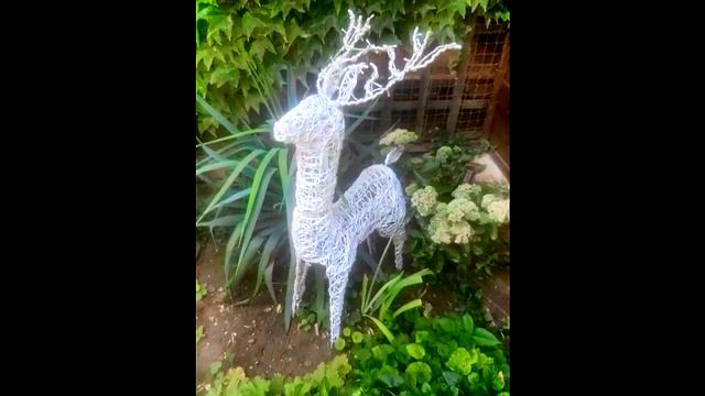 Лунный свет -  Автор Лариса Адианова музыка Галина Дмитриева поёт Муслим Фатуллаев