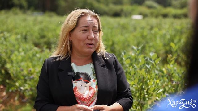 B3fbc8670c2cc3ca117fc1f759331082