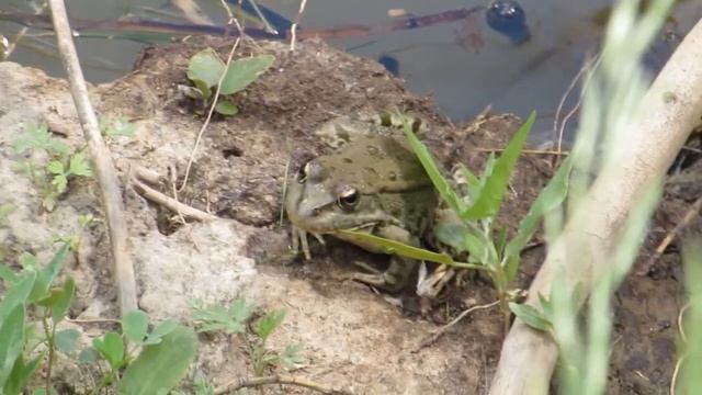 Dc86ad1c8ad067da6ab1f56e7fb56bd3