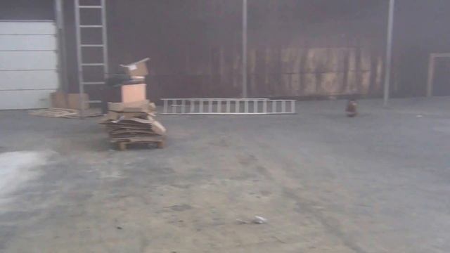 Шлифование бетона. тел. в Тюмени 8 (3452) 21-69-52 Элакор г. Тюмень