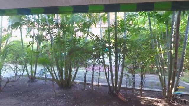 Аренда дома на Самуи. Отличная вилла с тремя спальнями на пляже  по очень хорошей цене. (объект 507