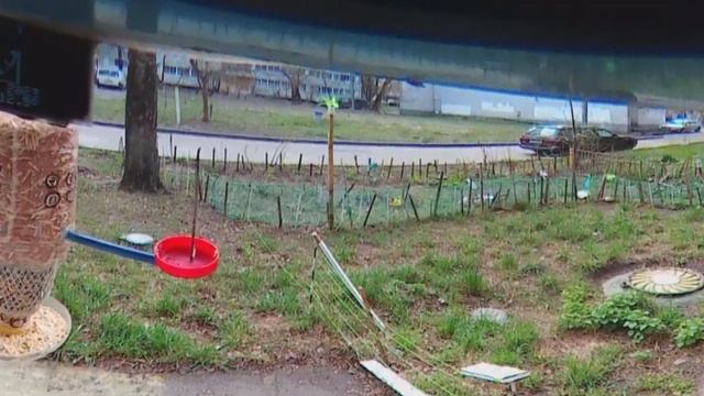 Под окном 2023 апр 18 - 20 яндекс такси 324 420 728 ДОЗАправка летуны скорая