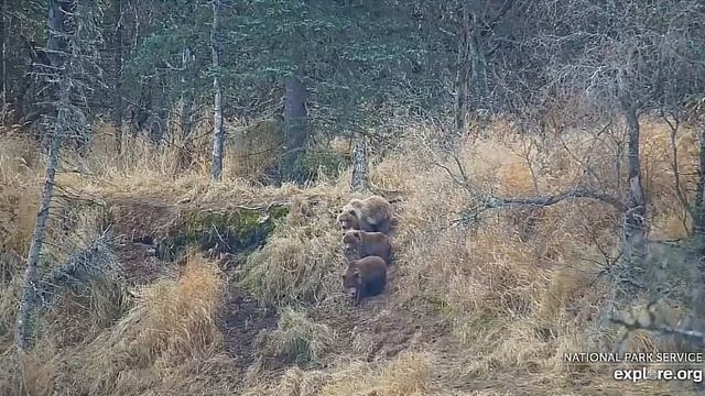 5b4d4b452150ba5a70cef429ebfebec0