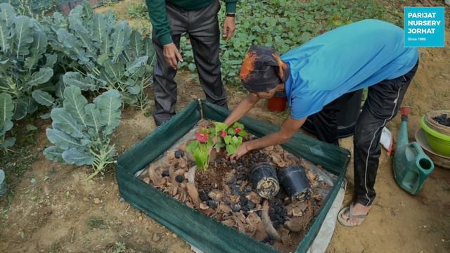 94dc4302a0096f4fcad90d8cbb0f1cbc