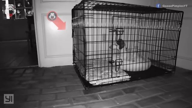 7789f885afb942400864fe63436d8174