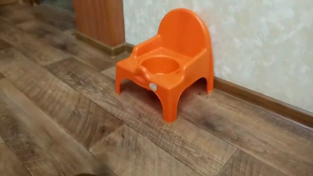 Брабансон Гоша учит Лешу пользоваться горшком - обучающее видео!