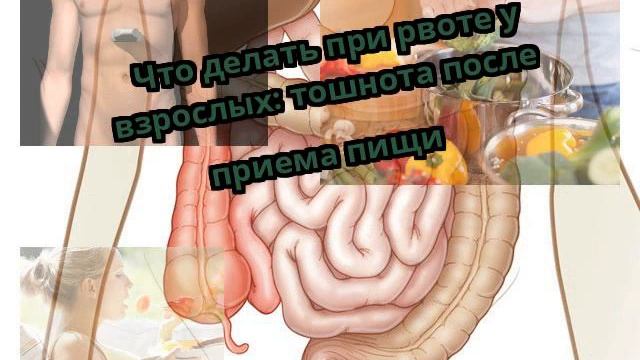 Учебник Самоделки