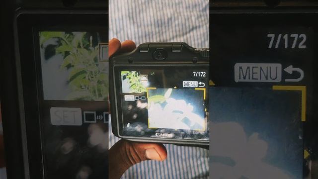 #canon Sx160is Review #photography