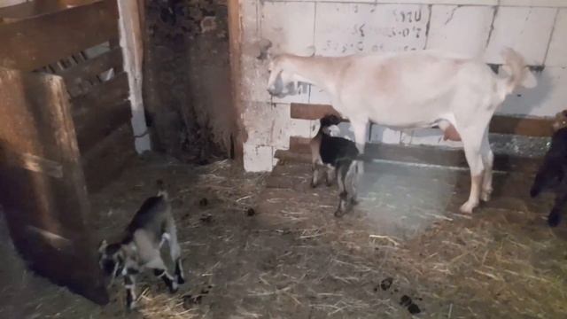 C0cba332d6248a0cb13e3d55de06576b