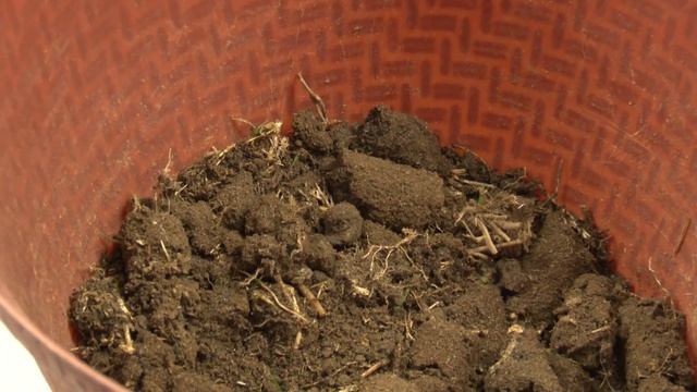 Soil Testing How-To