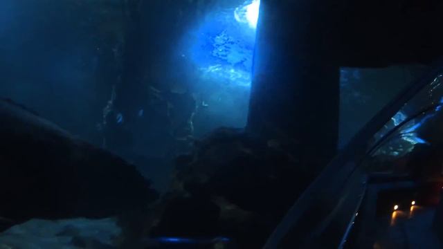 Наш Вьетнам 2016