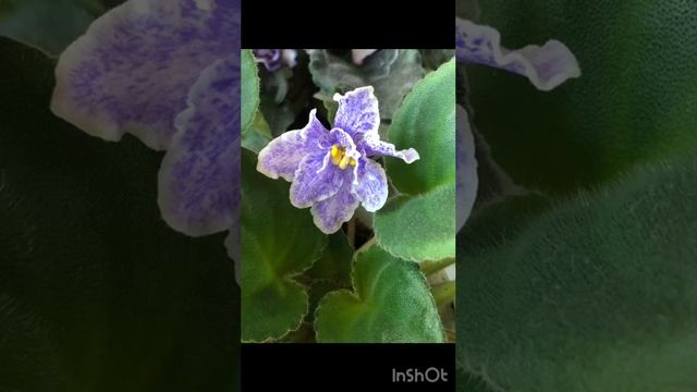 75a047ddd520244b1cf268f341f01788