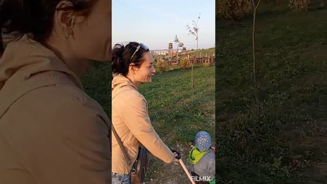 Прогулка, парк животных Диприз