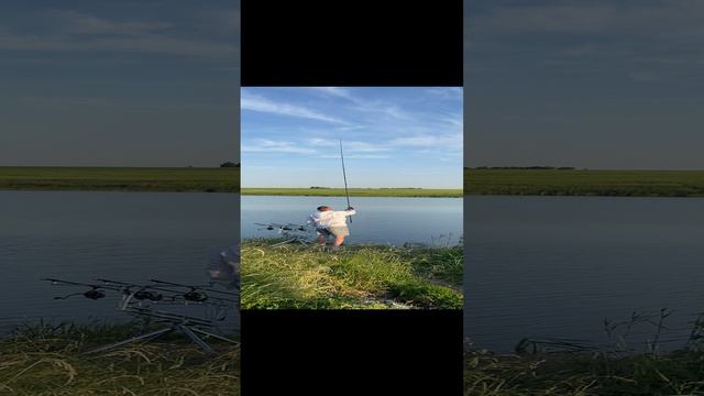 4b3c43dc6647a31d0a535986a1d727f7